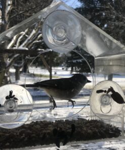 Nature Gear Window Bird Feeder - Refillable Sliding Tray - Weather Proof - Snow and Squirrel Resistant - Drains Rain Water - See Songbirds from Home! (House Style) (House Model) House 43 B1Lvu1DA5aS