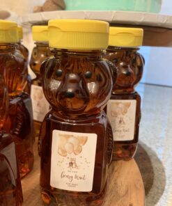 Little Giant Plastic Bear Bottle Honey Squeeze Bottle with Flip-top Lid (12 Ounce, 12 Pack) (Item No. HBEAR12) 29 B1N 30CHESS