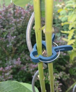 Sago Brothers 40 PCS Plant Clips Garden Clips for Tomato Cage, Tomatoes Clips Plant Support Clips for Bamboo Stakes, Climbing Plants, Vines, Gentle Plant & Flower Trellis Clips for Plant Stalks, Stems SL-40p-(20S+20L) 50 B1N0N8HCxAS