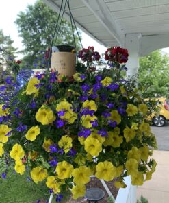 REMIAWY Plant Watering Devices 6 Pack Terracotta Vacation Plant Waterer Wine Bottle Watering Stakes Slow Release Plant Watering Spikes Perfect Self Watering Devices for Indoor Outdoor Plants 41 B1N2BC0fEpS