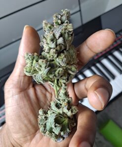 Alternative view of Advanced Nutrients 3550-14 Tasty Terpenes 1 Liter