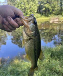 HTC RE 16.0MP Waterproof Digital Camera (White) White 18 B1NVBy6HKtS