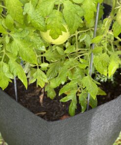 VIVOSUN 5-Pack 10 Gallon Plant Grow Bags, Heavy Duty Thickened Nonwoven Fabric Pots with Handles Black 10 Gallons 55 B1OJC9VSKjS