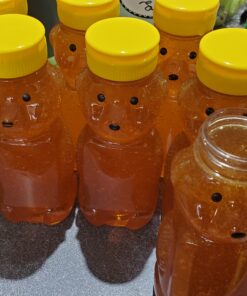 Little Giant Plastic Bear Bottle Honey Squeeze Bottle with Flip-top Lid (12 Ounce, 12 Pack) (Item No. HBEAR12) 27 B1OTHBAw0hS