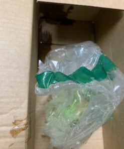 Rain-X 5072084 Foaming Car Wash - 100 fl oz. High-Foaming, Concentrated Formula For Greater Cleaning Action, Safely Lifting Dirt, Grime And Residues For An Exceptional Clean Old Packaging 27 B1Opn2j9eZS