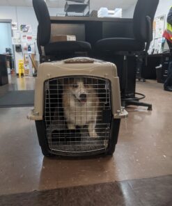 Petmate Ultra Vari Dog Kennel for Small to Medium Dogs (Durable, Heavy Duty Dog Travel Crate, Made with Recycled Materials, 28 in. Long) 25 to 30 lbs, Made in USA TAUPE/BLACK 28" 32 B1PuB042kQS