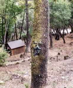 Tree Face Bird Feeder (Hand Painted) Fun Outdoor Decor Includes Glow in The Dark Eyes 29 B1Pvp6mjTKS