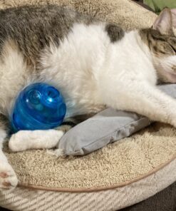 PetSafe Cat Egg-Cersizer Interactive Toy and Meal Dispenser, Use with Food or Treats - PTY00-13747,Blues & Purples Pack of 1 19 B1RivxNPFTS 1