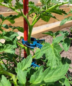 Sago Brothers 40 PCS Plant Clips Garden Clips for Tomato Cage, Tomatoes Clips Plant Support Clips for Bamboo Stakes, Climbing Plants, Vines, Gentle Plant & Flower Trellis Clips for Plant Stalks, Stems SL-40p-(20S+20L) 44 B1RlAfj63iS