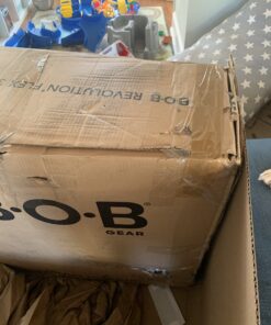 BOB Gear Revolution Flex 3.0 Duallie Double Jogging Stroller, Graphite Black 49 B1RrpydhDHS