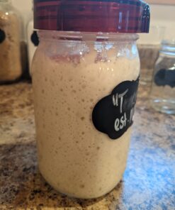 Fermenting Lids for wide mouth mason jars. 4 waterless airlock fermentation lids kit. Easy Grip fermenter lid with Oxygen Pump automatically Vents air. Tracks ferment date. (4 Lids + Pump) 40 B1RyISP 6FS