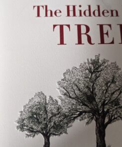 The Hidden Life of Trees: What They Feel, How They Communicate―Discoveries from A Secret World (The Mysteries of Nature, 1) 13 B1SY7TyqtS
