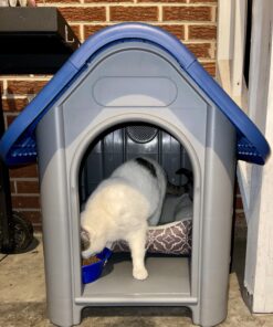 always-quality Indoor Outdoor Dog House Small to Medium Pet All Weather Doghouse Puppy Shelter Blue 31 B1TwF1boJCS