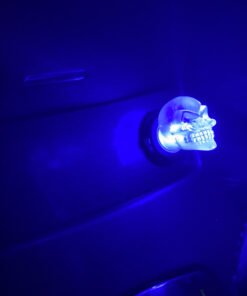 Custom Accessories 16500 Skull Dash Glow Light , White 18 B1U4S1rMYwS