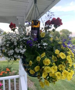 REMIAWY Plant Watering Devices 6 Pack Terracotta Vacation Plant Waterer Wine Bottle Watering Stakes Slow Release Plant Watering Spikes Perfect Self Watering Devices for Indoor Outdoor Plants 42 B1U9kALg9IS