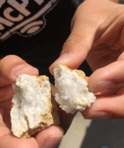 DANCING BEAR 25 Break Your Own Geodes, (Medium 1-1.5") 90% Hollow, Crack Open & Discover Amazing Surprise Crystals Inside! Educational Info and Instructions Included, Fun Party Favors & Prizes Medium (1-1.5") 42 B1UJVzE95hS