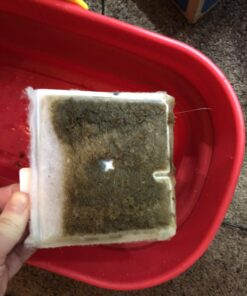 Aqueon Replacement Filter Cartridges Medium - 6 pack 28 B1US7eB5VHS