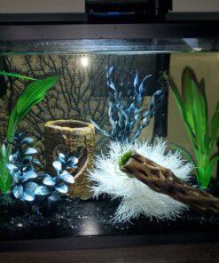 SciencePurchase 10.5" Black Fish Tank Aquarium Decoration, Sea Coral Ornament (Black, Sea Fan 10.5") 21 B1UT7FogofS