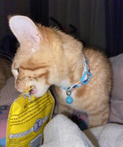 TEMPTATIONS Classic Crunchy and Soft Cat Treats Feline Favorite Variety Pack, 3 oz. Pouches,4 Count 4 Count (Pack of 1) 41 B1UyUwzoKxS