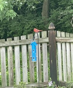 Perky-Pet 391 Metal Tube Wild Bird Feeder, Blue Sturdy 35 B1VKL821dS