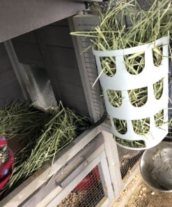 Farm Innovators Model HRB-20 Heated Water Bottle for Rabbits, 32-Ounce, 20-Watt, 4.2 x 4.2 x 11.5 inches ; 1 pounds, White 23 B1WUhwY rAS