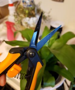 Fiskars Micro-Tip Pruning Snips - 6" Garden Shears with Sharp Precision-Ground Non-Stick Coated Stainless Steel Blade - Gardening Tool Scissors with SoftGrip Handle Pruning Snips (Non-Stick) 32 B1X4Mwkf9vS
