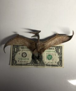 Papo The Dinosaur Figure, Pteranodon 23 B1XwHBzDBbS