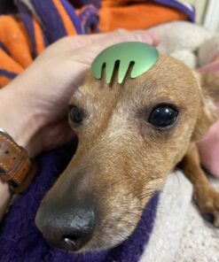 Snow Peak Titanium Spork - 0.6 Oz Anodized Green 36 B1Y5dtVWtOS