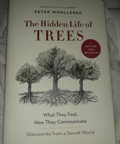 The Hidden Life of Trees: What They Feel, How They Communicate―Discoveries from A Secret World (The Mysteries of Nature, 1) 16 B1ZM7tgRgS