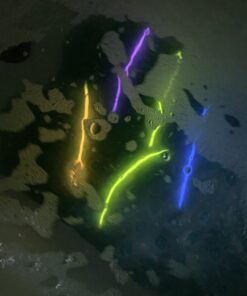 Glow Sticks Bulk Party Favors 100pk - 8" Glow in the Dark Party Supplies, Light Sticks for Neon Party Glow Necklaces and Bracelets for Kids or Adults 100 Pack 52 B1Zc1CQ9jiS