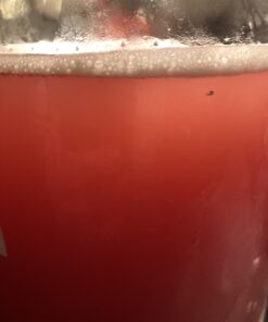 Five Star - Star San - 8 Ounce - High Foaming Sanitizer 8 Ounce (Pack of 1) 19 B1a4JtOH70S