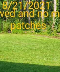 Scotts Turf Builder Lawn Food - Fertilizer for All Grass Types, 5,000 sq. ft., 12.5 lbs. 5,000 sq. ft. 39 B1aPubTn3GS