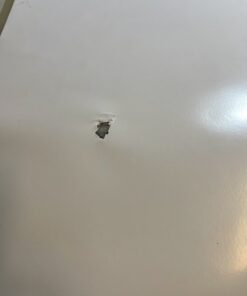 Siser EasyWeed Heat Transfer Vinyl 11.8" x 15ft Roll (White) - Compatible with Siser Romeo/Juliet & Other Professional or Craft Cutters - Layerable - CPSIA Certified White 33 B1bHRLOgElS