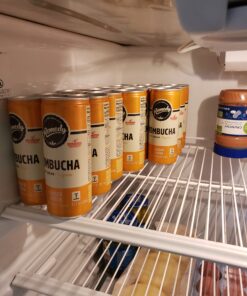 Remedy Kombucha Tea Organic Drink - Sugar Free, Keto, Vegan, Non-GMO, Gluten Free & Low Calorie - Sparkling Live Beverage w/ Gut Health & Probiotic Like Benefits - Ginger Lemon - 8.5 Fl Oz Can, 24-Pack 8.5 Fl Oz (Pack of 24) 29 B1cSzw1KwUS