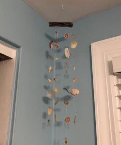 Natural Cholla Wood for Aquarium Decoration, Shrimp, Hermit Crab, Chew Toys for Small Pets (4 Inches Long(Pack of 3)) 4 Inches Long(Pack of 3) 28 B1cUnMUOByS