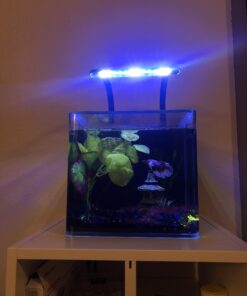 Marina Naturals, Pennywort Silk Plant, Large Fish Tank Decoration, PP103 14 B1d0DB7edAS