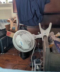 Hurricane Fans - Classic 6 Inch Clip Fan - Portable Fan with Strong Clamp, Two Speed Settings, and Adjustable Tilt Mechanism, White - Great Work Fan, School Fan, Desk Fan, Greenhouse Fan 6" Classic 39 B1eIqo9svXS