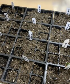 9GreenBox - Seedling Starter Trays, 144 Cells: (24 Trays; 6-Cells Per Tray), Plus 5 Plant Labels 28 B1eiUeGdo5S