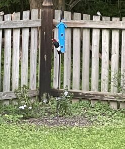 Perky-Pet 391 Metal Tube Wild Bird Feeder, Blue Sturdy 36 B1gPp53NSaS