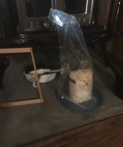 Organic Blue Oyster Mushroom Growing Kit 54 B1i J3Rz0qS