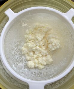 2TBSP Active Organic Milk Kefir Grains Ebook: "Milk Kefir Unleashed" 1 Count (Pack of 1) 40 B1iiZKDRKkS