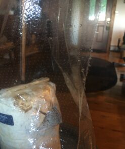 Organic Blue Oyster Mushroom Growing Kit 55 B1j4BxVXjgS