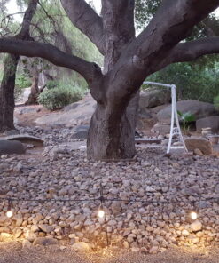 Ashman Shepherds Hook 10 Pack Black, 35 Inches Tall, Made of Premium Metal for Hanging Solar Light, Bird Feeders, Mason Jars, Garden Stake and Wedding Décor. 38 B1k58p1sVKS