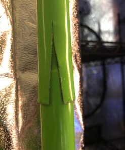 VIVOSUN S558 5x5 Grow Tent, 60"x60"x80" High Reflective Mylar with Observation Window and Floor Tray for Hydroponics Indoor Plant for VSF6450 60"x60"x80" Black 56 B1kXQZw86xS