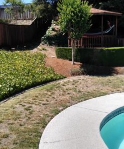 Orbit 21004 B-hyve Smart Hose Faucet Timer with Wi-Fi Hub, Compatible with Alexa,Gray 21004 Faucet Timer with Wi-Fi Hub 47 B1lbOagdwiS