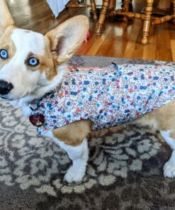 Kurgo Loft Dog Jacket, Reversible Dog Coat, Wear with Harness or Sweater, Water Resistant, Reflective, Winter Coat For Medium Dogs (Deep Violet, M) Deep Violet/Charcoal 39 B1nP5Nnhs5S