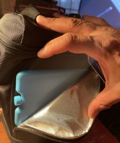 Bentgo Ice Lunch Chillers - Ultra-Thin Ice Packs Perfect for Everyday Use in Lunch Bags, Lunch Boxes and Coolers - 4 Pack (Blue) Blue 32 B1nRwf3MLfS