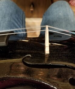 Mendini By Cecilio Violin For Beginners, Kids & Adults - Beginner Kit For Student w/Hard Case, Rosin, Bow - Starter Violins, Wooden Stringed Musical Instruments 4/4 MV Black 37 B1nYcLcm5rS