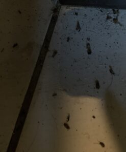 Maxforce FC Roach Control Bait 30 Gram Tubes BA1088 12 B1o13rL7AuS