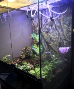 Zoo Med Reptirain Automatic Habitat Mister, 12" L X 11.5" W X 5.5" H 12 IN 17 B1o4qqDWktS